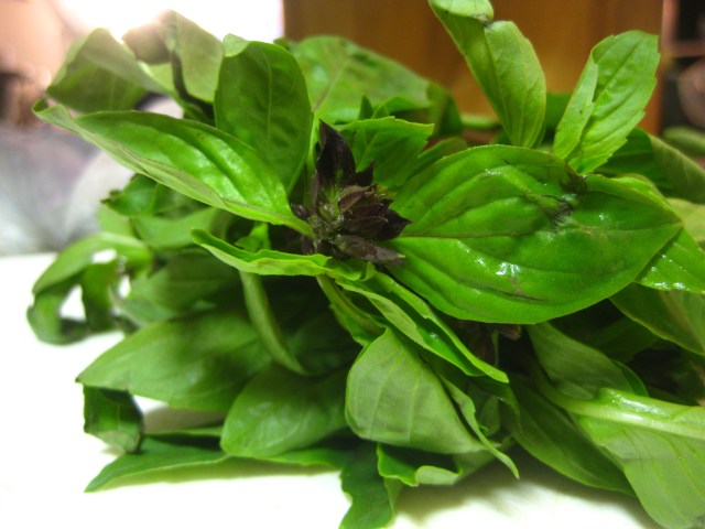thai basil