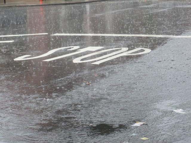 watching the summer rains from under the bridge