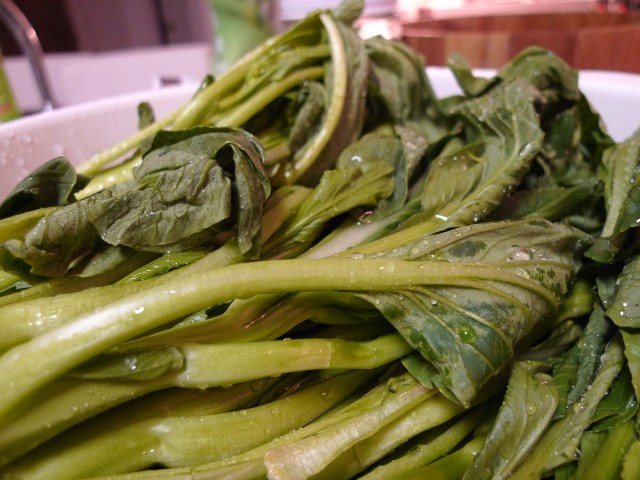 chinese broccoli, gai lan