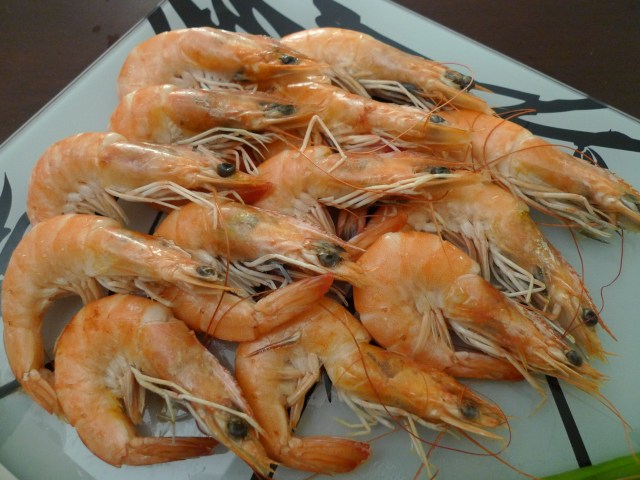 white boiled shrimp