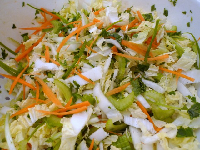mix together the napa cabbage, celery, carrot, cilantro, scallions