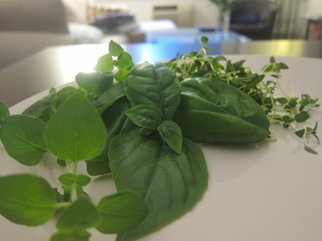 oregano, basil, thyme from Aerogarden