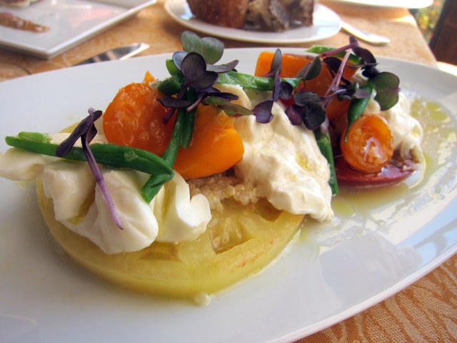 burrata and heirloom tomatoes