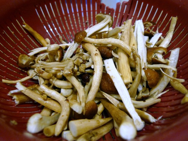 clean the mushrooms and cut following the mushrooms' shape