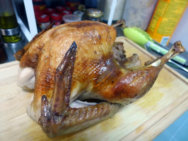 Harold the Turkey