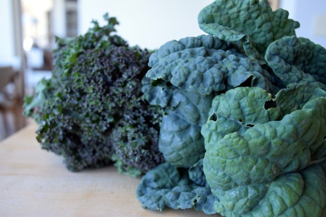 lacinato "dino" kale and red russian kale