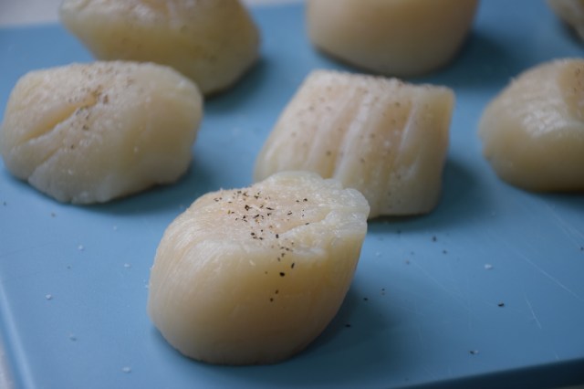 pat scallops dry and season