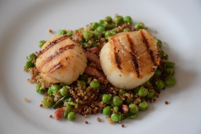 Seared Scallops with Bacon, Peas, and Red Quinoa