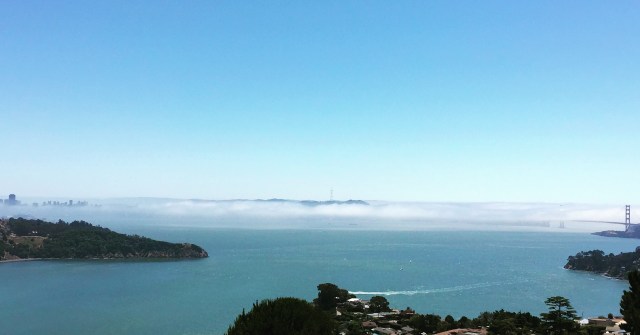 summer fog of SF city